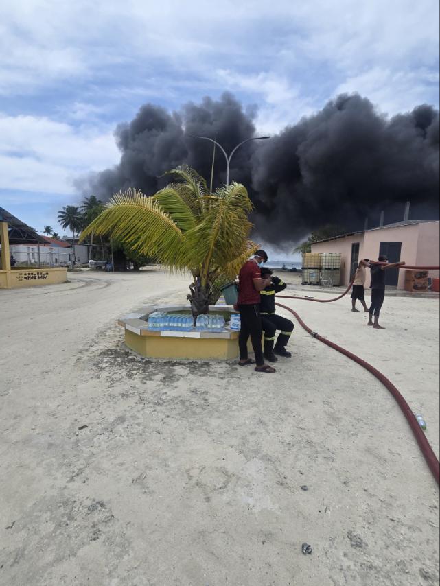 DhaNews's tweet photo. F. Feeali gai hingamun dhaa alifaanuge haadhisaaga MNDF aa Feeali rayyithun nikume alifaan nihvumuge masahkai kuramun dhanee. Alifan gandu adhives ehkoh control nuvey https://t.co/KcqLRVT7mK