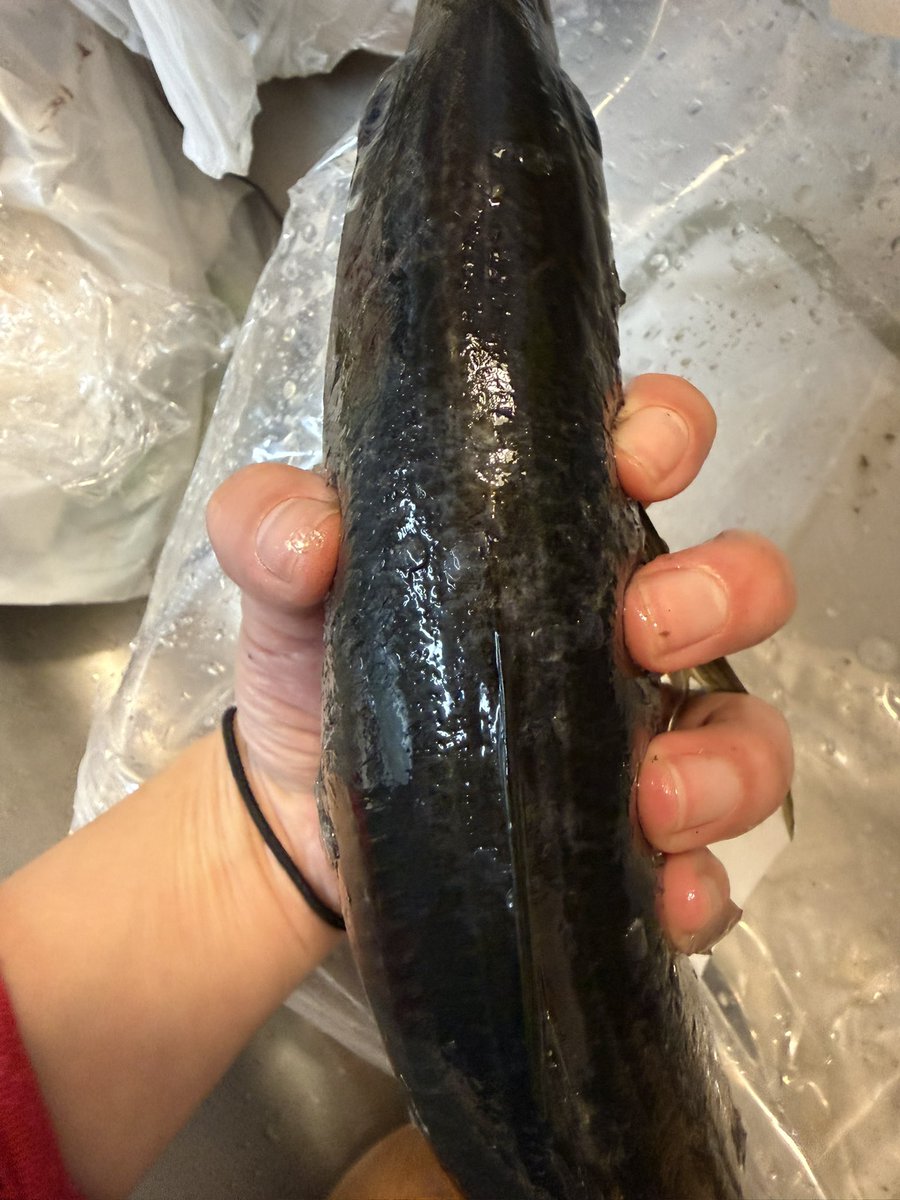 eging girl 💖 tweet media