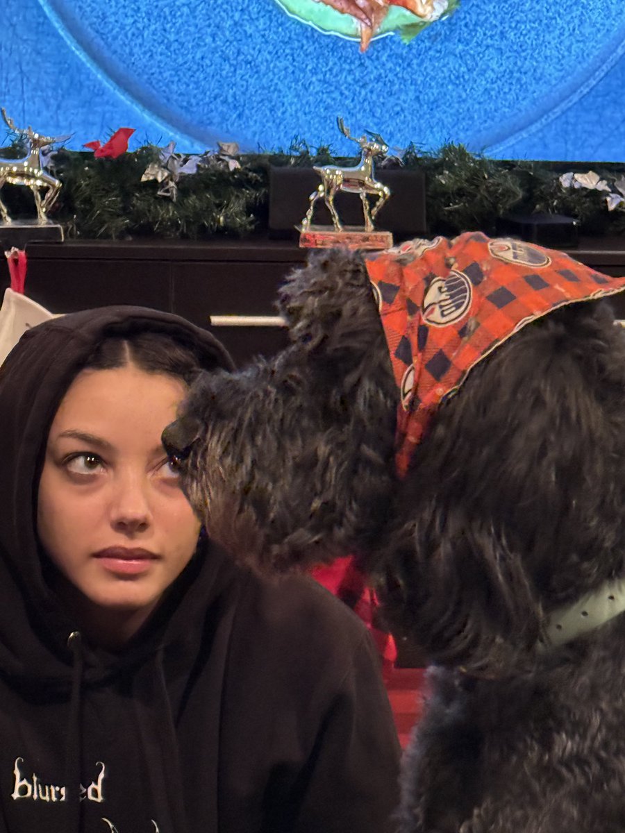 David Melanson tweet media