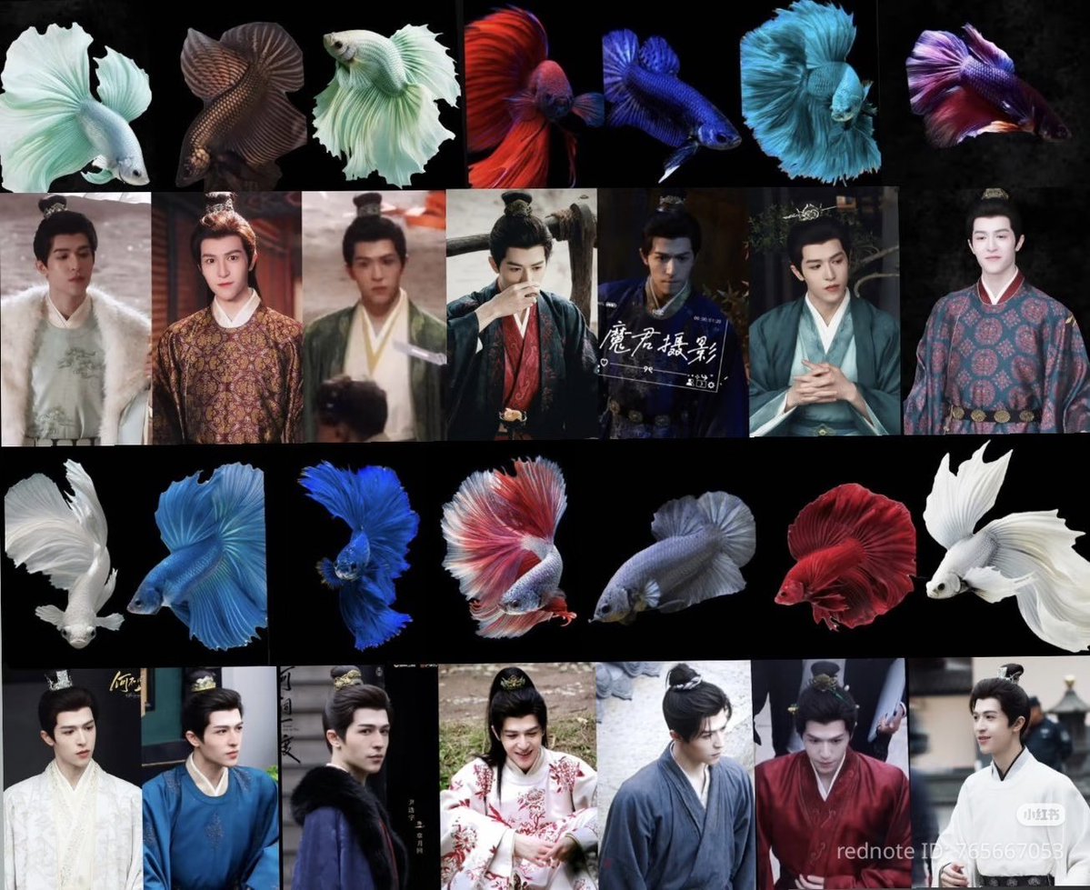 Mako 🍑🩷🪽 tweet media