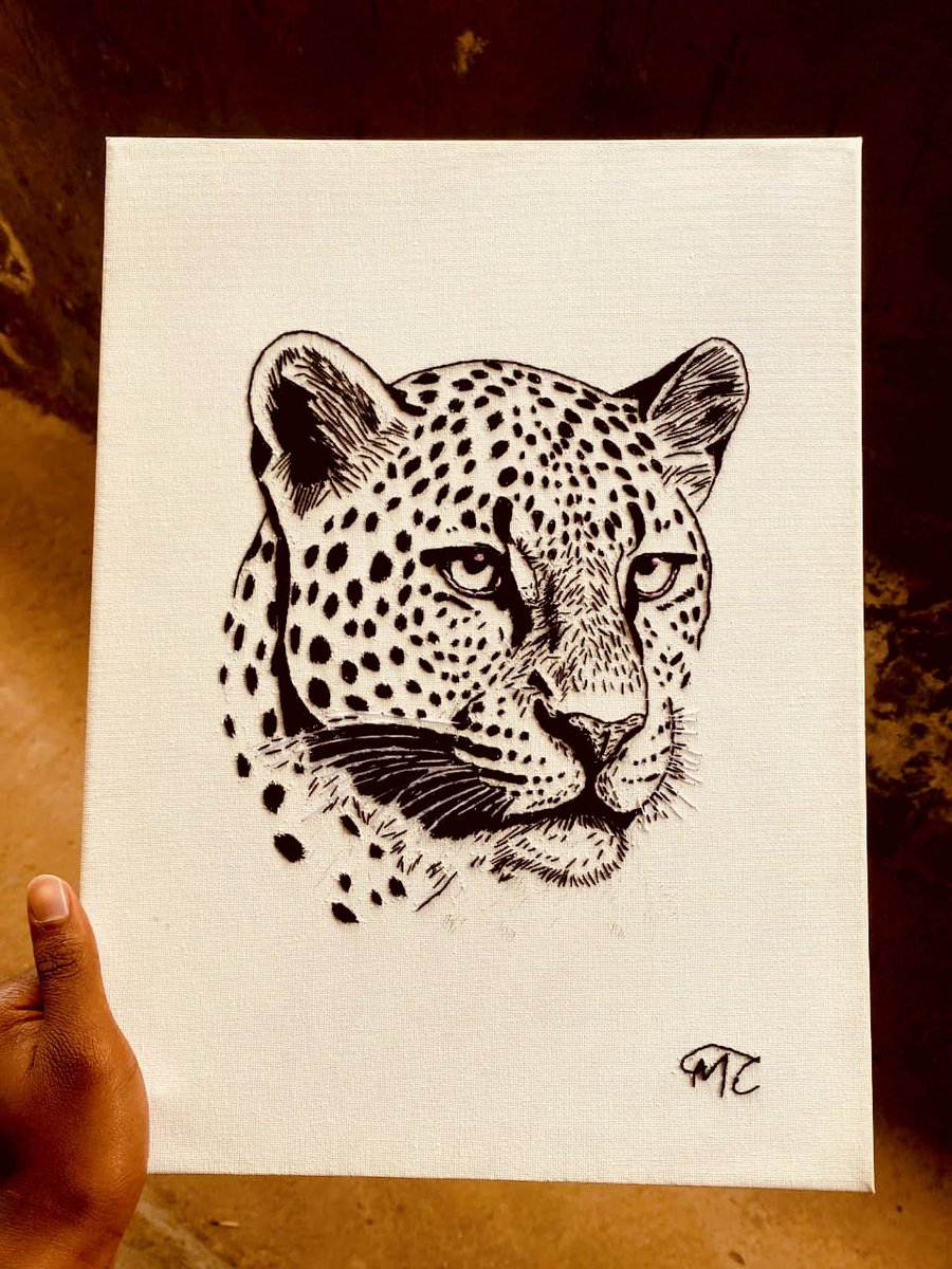 Mamba Creatives tweet media