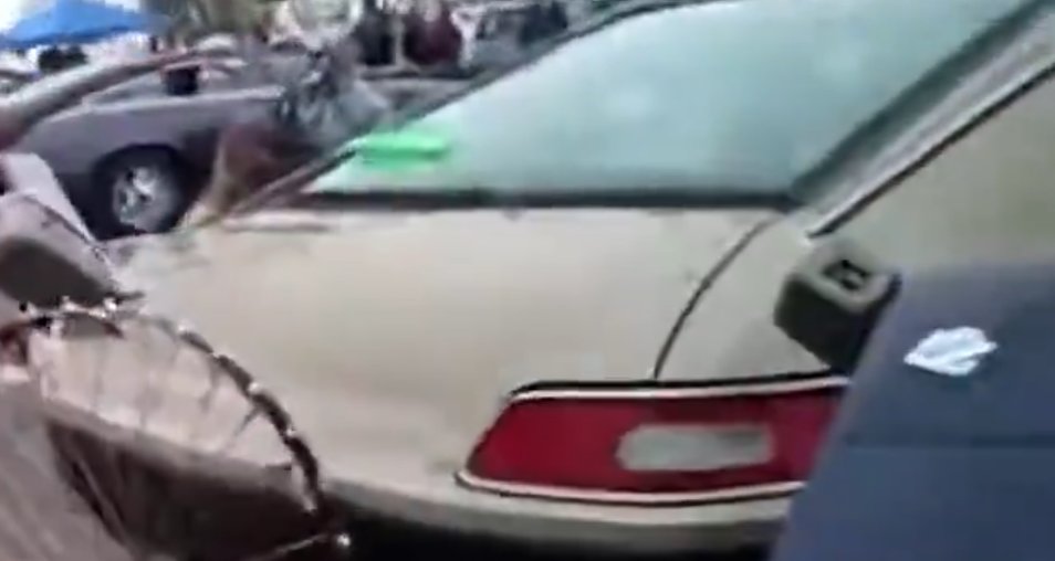 TheBonApettit tweet media