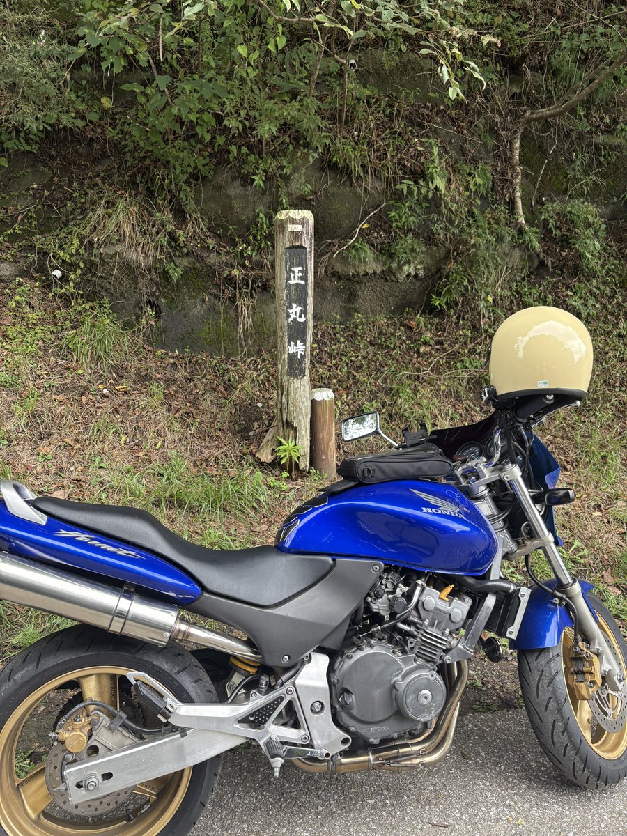 ホーネット250