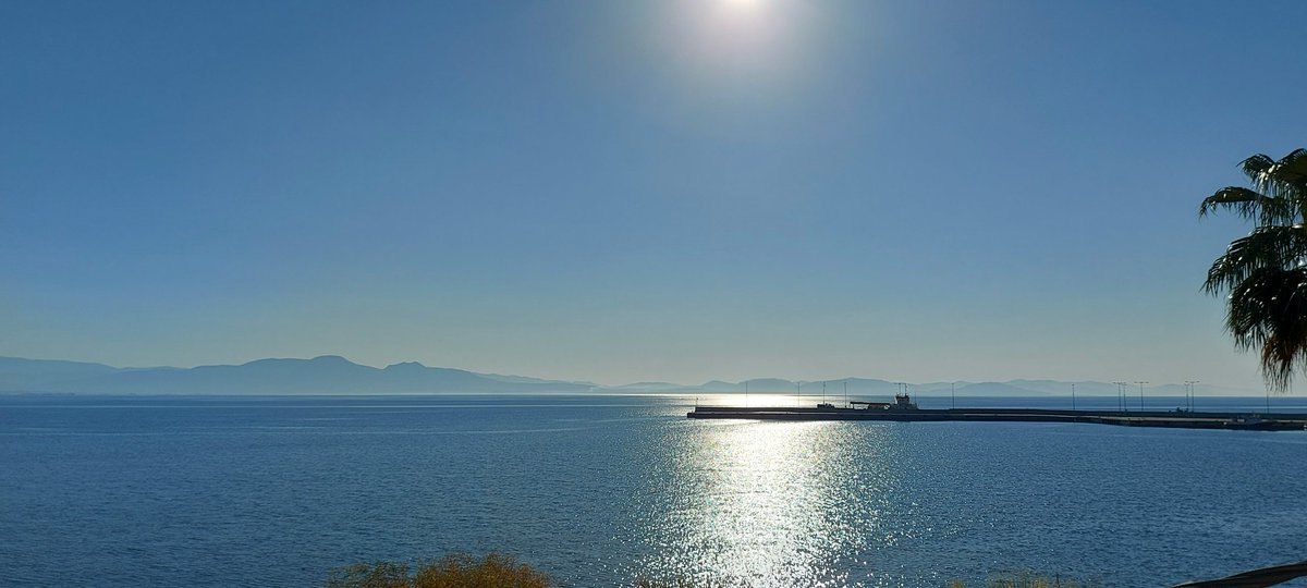 vasilis p tweet media