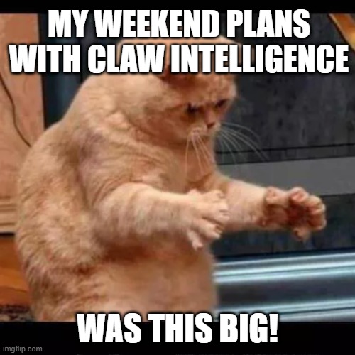 The best weekend plan is having no plans at all.

Let Claw Intelligence handle the heavy lifting. While you’re off the clock, it’s 24/7—tracking trends and catching every opportunity from Saturday sunrise to Sunday midnight.

Relax and recharge. Leave the rest to Claw.