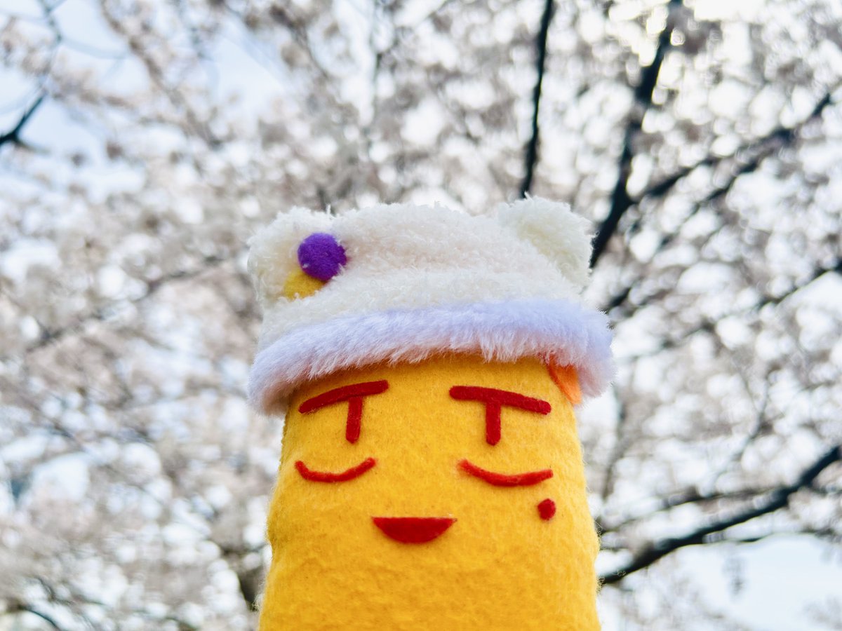 KGSO🦐 tweet media