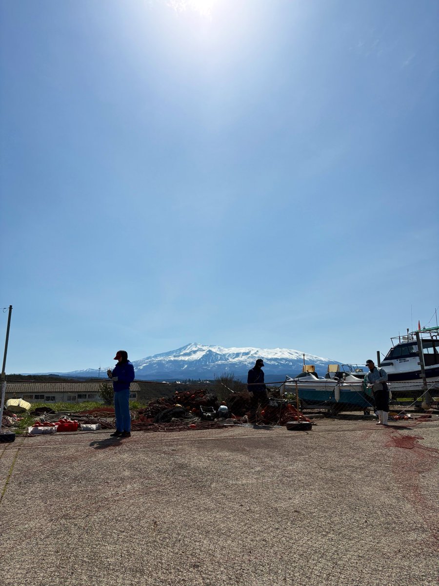 かずなり@漁tuber tweet media