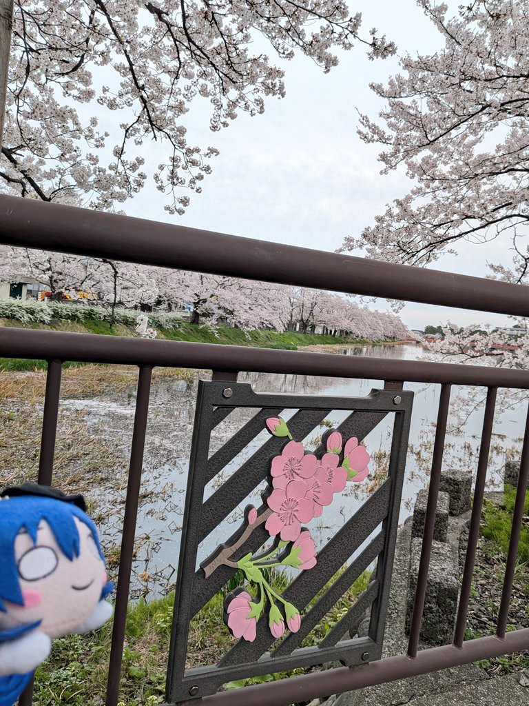 ねぎみそ＠山頂アタック部 tweet media