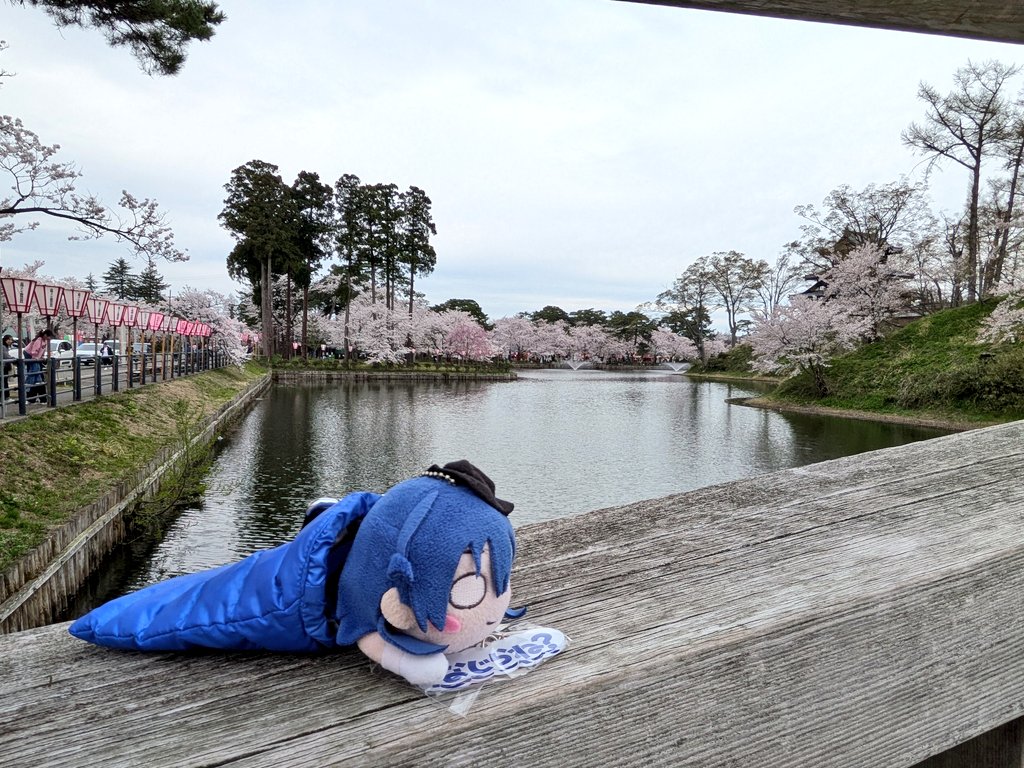 ねぎみそ＠山頂アタック部 tweet media