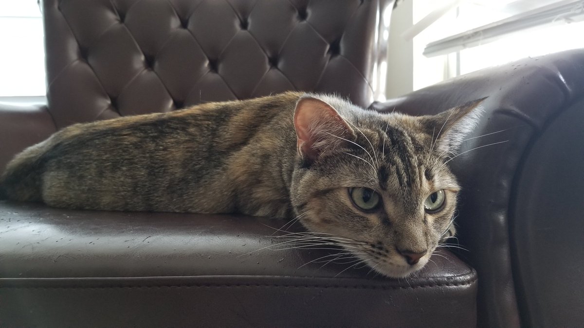 Christian tweet media