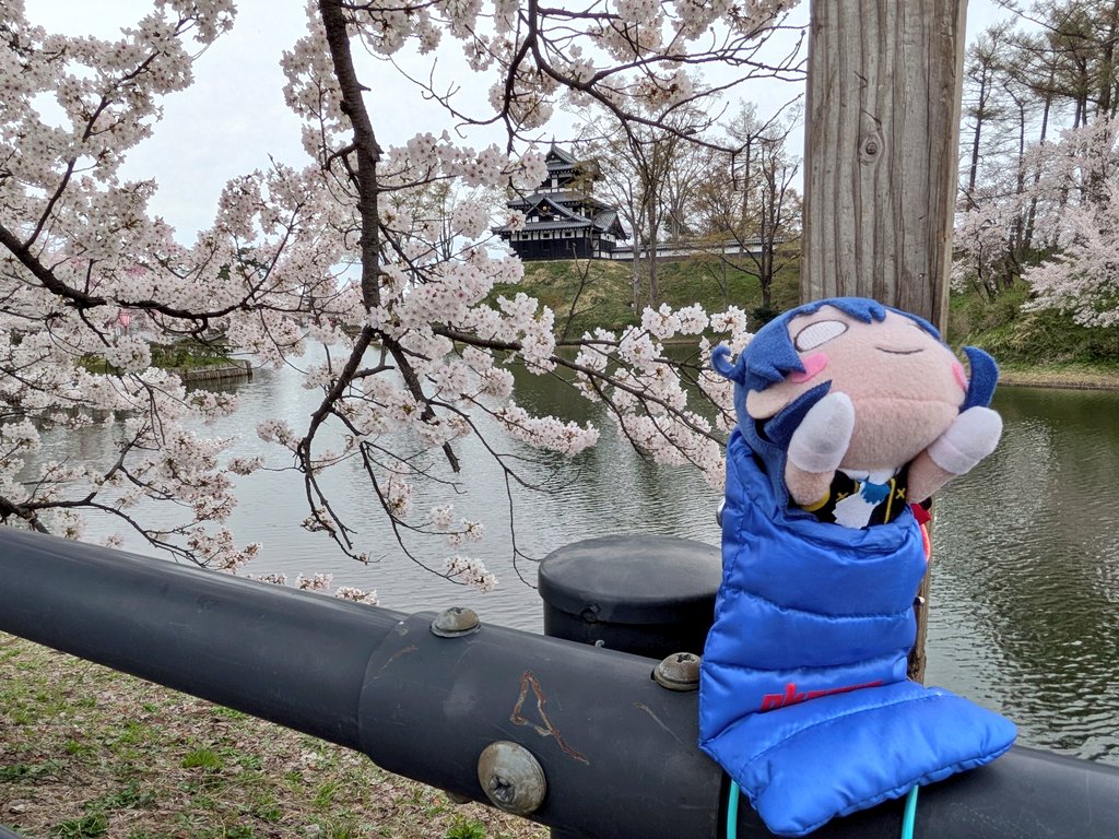 ねぎみそ＠山頂アタック部 tweet media