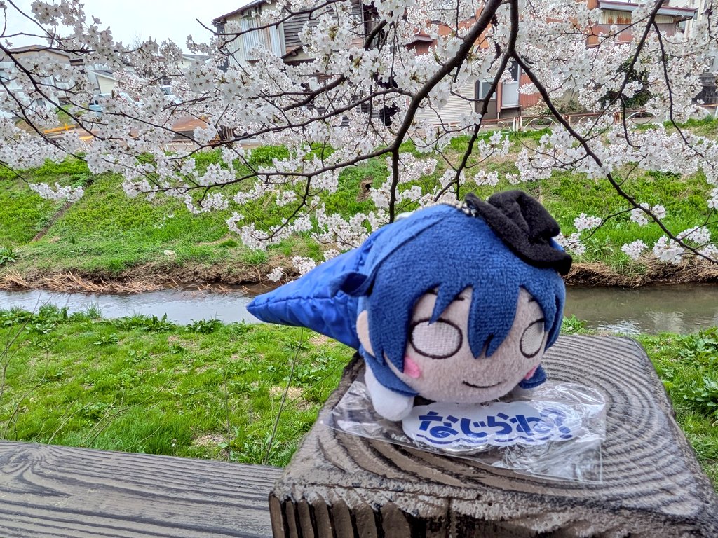 ねぎみそ＠山頂アタック部 tweet media