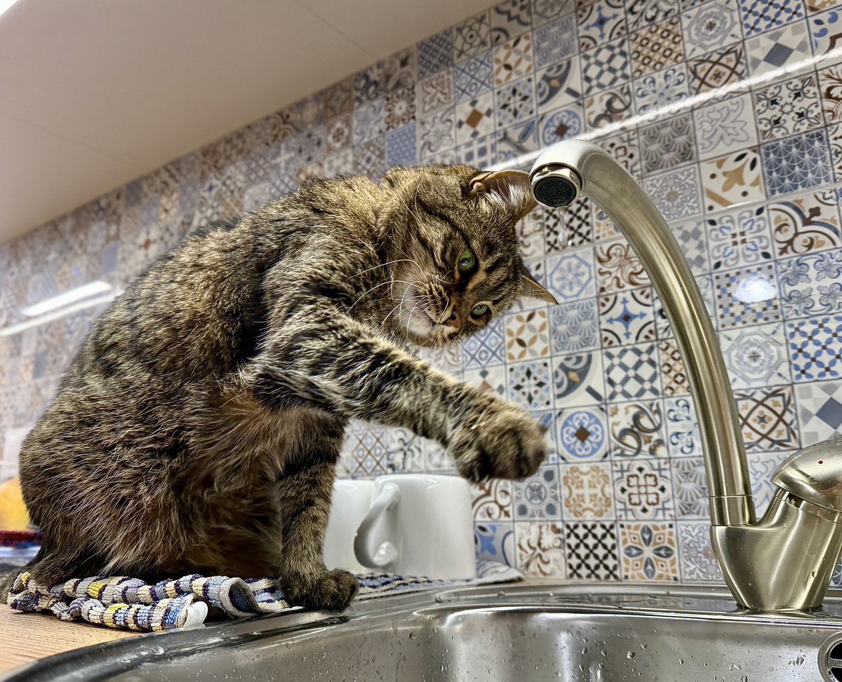 Стас Юрченко tweet media