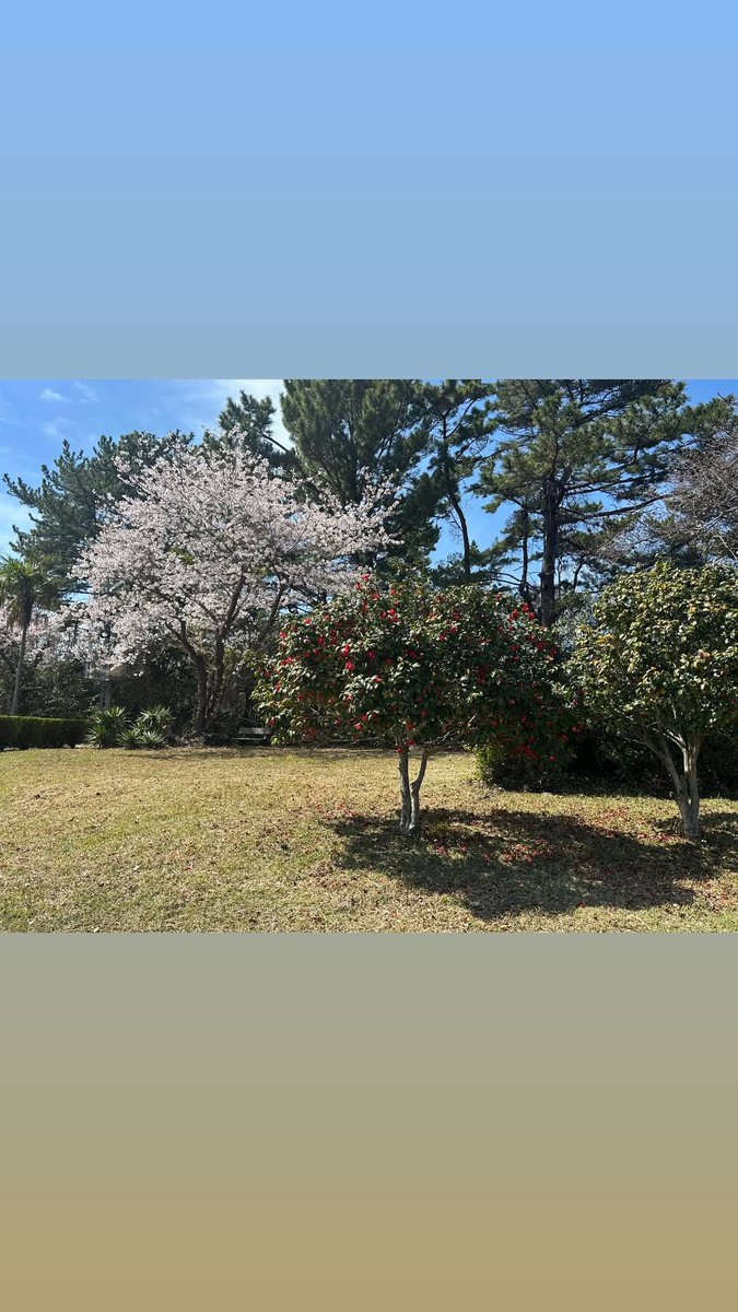 KIM YERIM Global Union tweet media