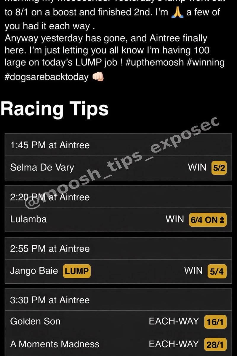 Moosh_tips_exposed tweet media