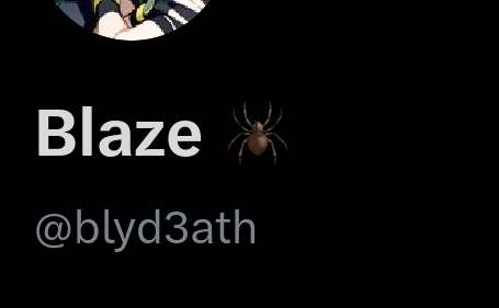 Blaze 🕷️ tweet media
