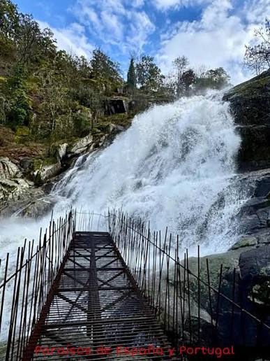 Javi Gonzalez tweet media