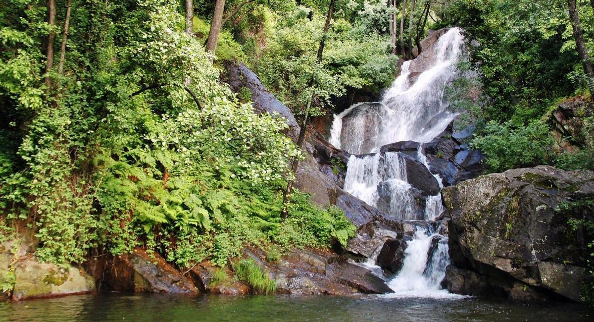 Javi Gonzalez tweet media