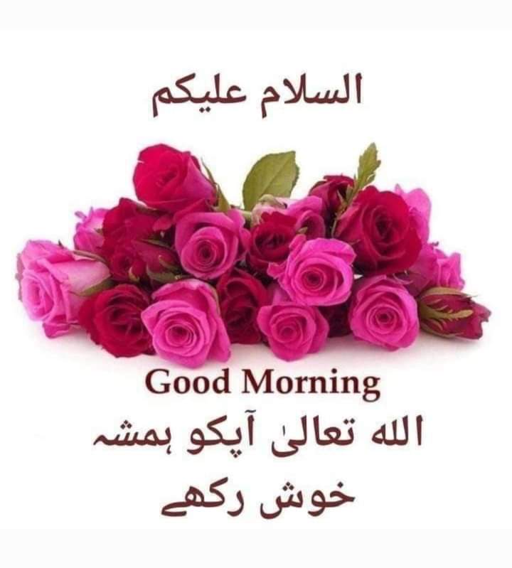 Shahzad Iqbal tweet media