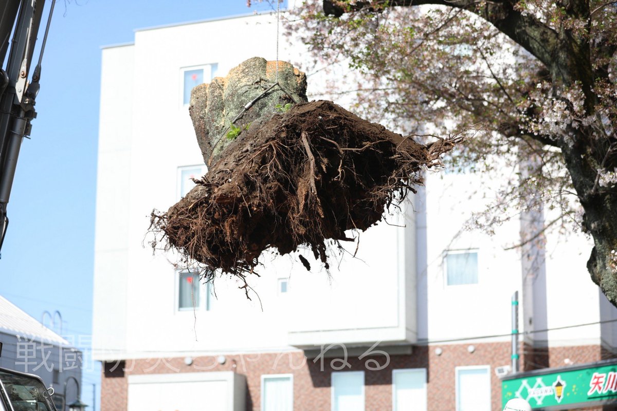 戦闘防災ちゃんねる tweet media