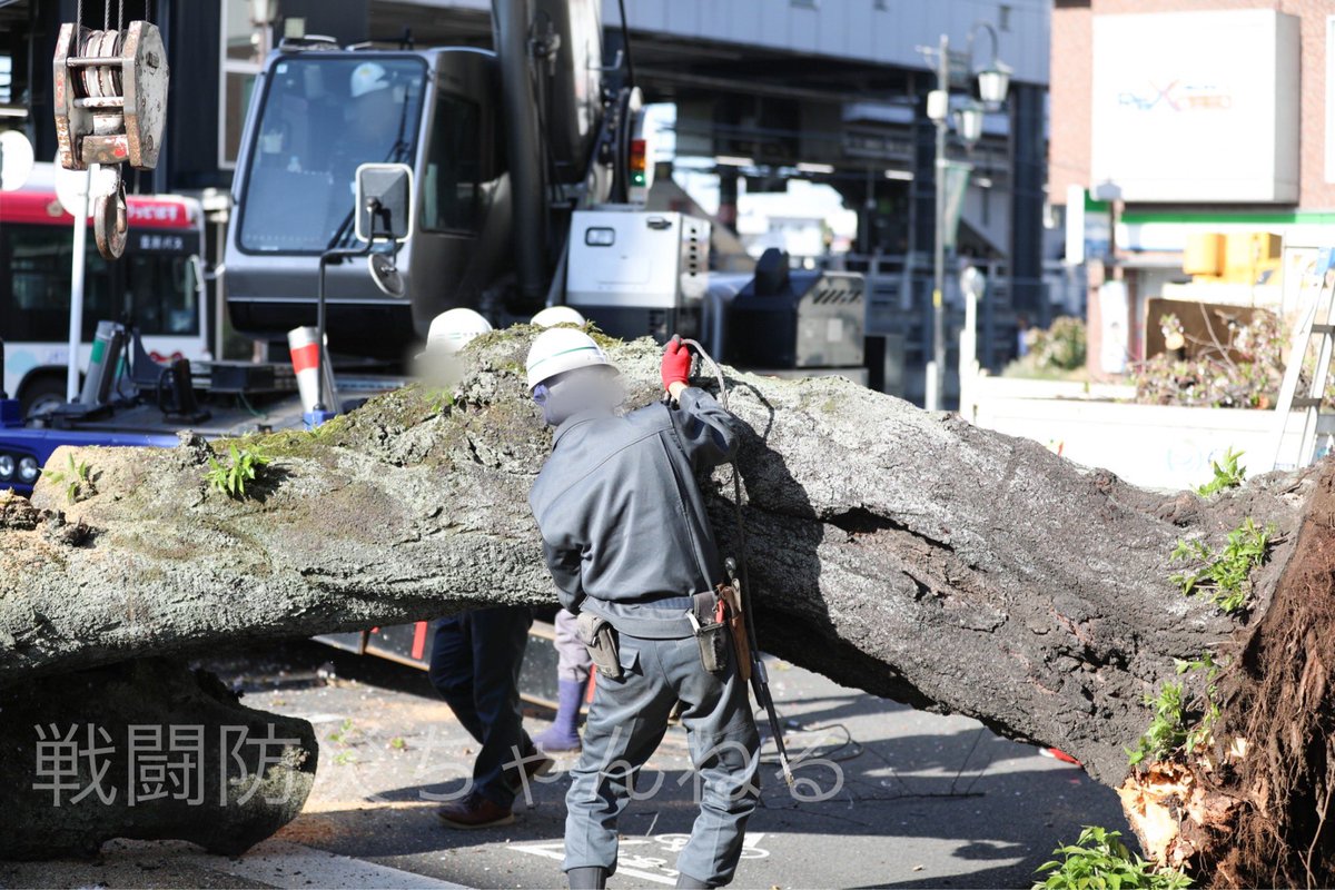 戦闘防災ちゃんねる tweet media