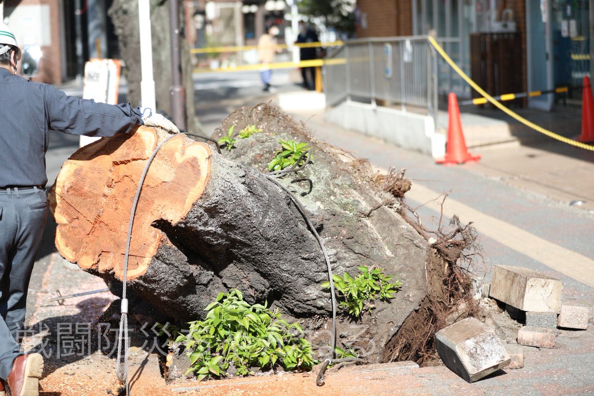 戦闘防災ちゃんねる tweet media