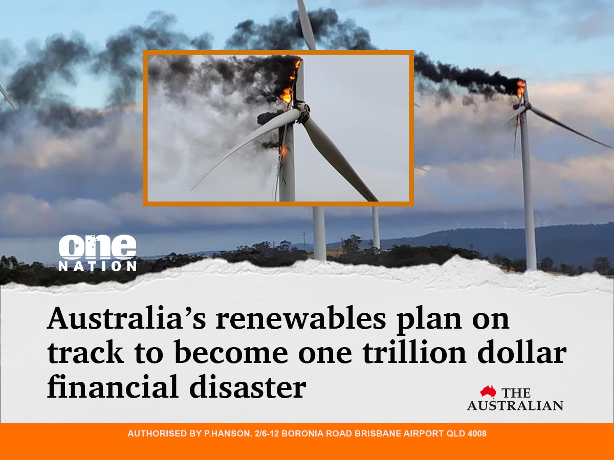 One Nation Australia tweet media