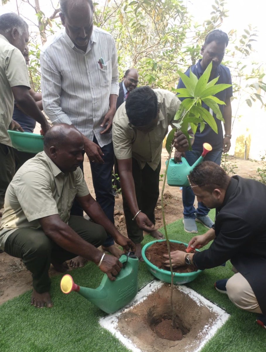 CeoRajasthan's tweet photo. Delegates planted saplings during their visit to a polling station in Pondicherry district, Puducherry to witness the poll under the International Election Visitors’ Programme (IEVP). 🌱🇮🇳

A message of eco-friendly elections!! ♻️

#ChunavKaParv #PuducherryElections2026  #ECI https://t.co/rguIDvtFTF