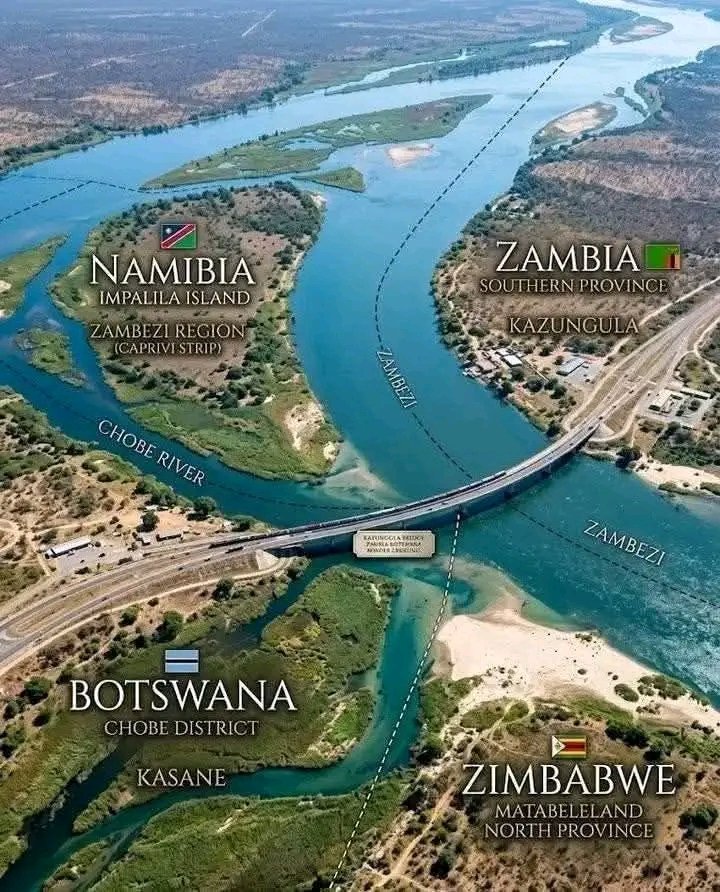 The Muffin Man tweet media