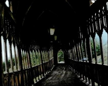 Sleeping werewolf☄️ tweet media