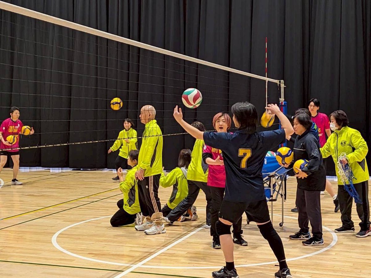 東京グレートベアーズ【バレースクール】 tweet media