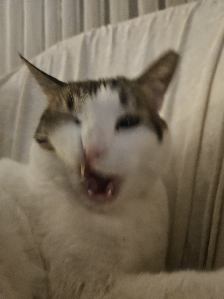 efe huça🧸🙀💩👽 tweet media