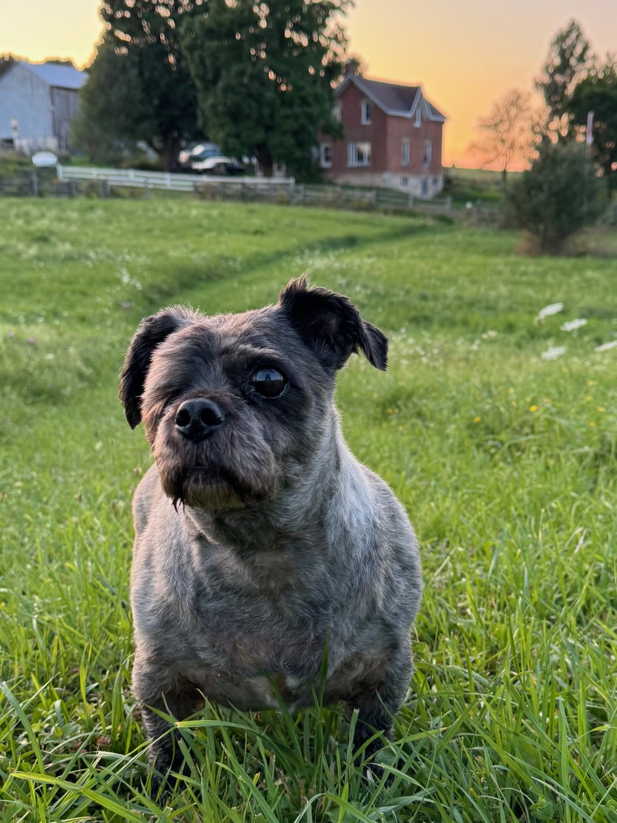 Peter Whitten tweet media