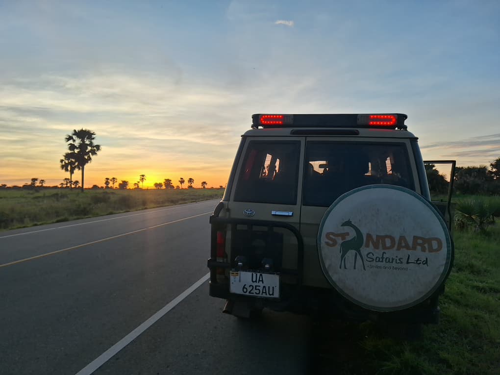 SafarisStandard's tweet photo. Are you team River Nile? ✋ Then capturing photos at the Victoria Nile and the powerful Murchison Falls is a no-brainer. 📸😜
#murchisonfallsnationalpark #touruganda #safariwithstandardsafaris #ugandasafaris #tours https://t.co/oZJR1W2fDW