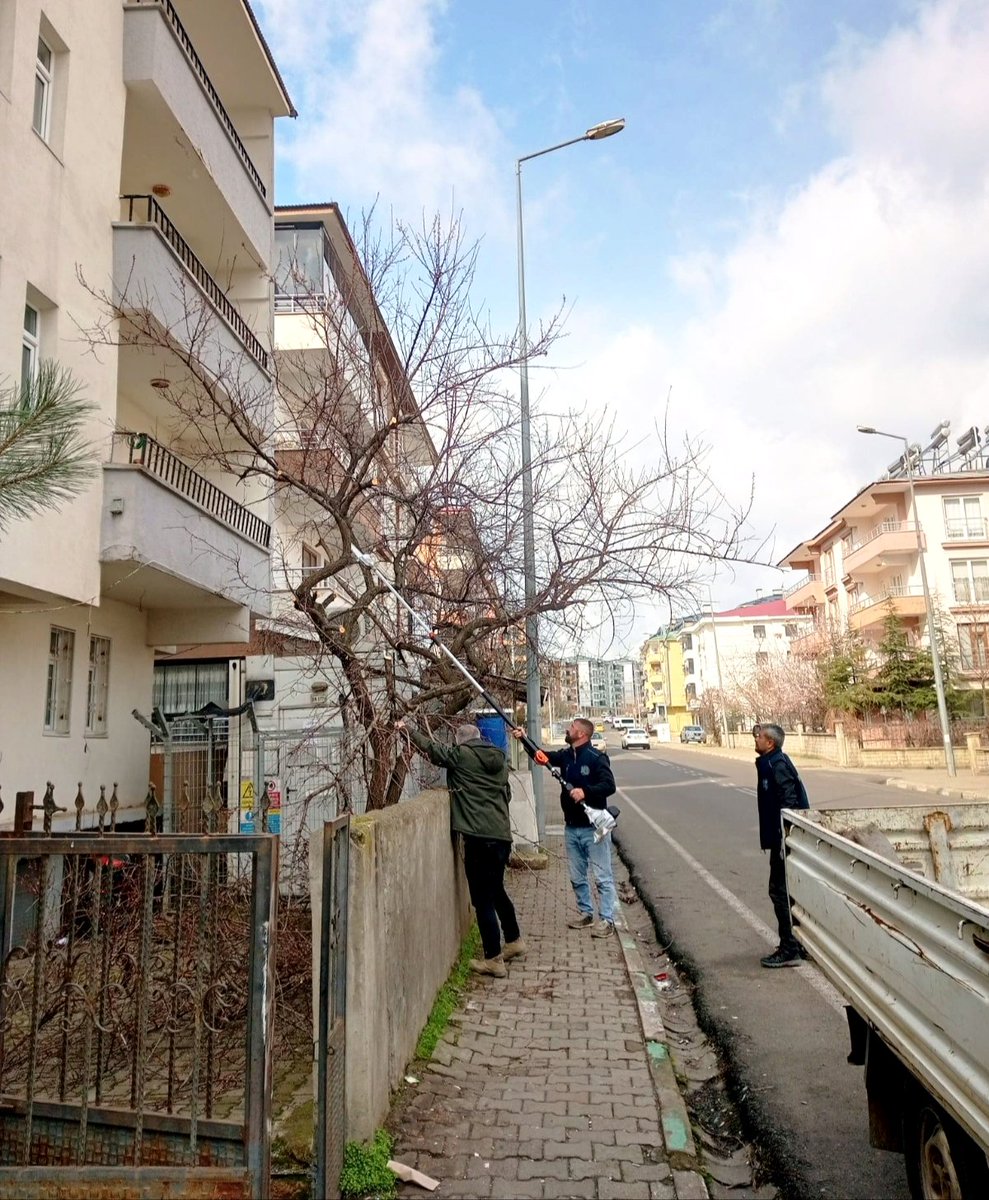 #SizdenGelenTalepler #153 ☎️

Park ve Bahçeler Müdürlüğü ekiplerimiz
vatandaşlarımızdan gelen anlık talepler üzerine;

📍Şehir Merkezimizde ağaç budama çalışmalarını özveriyle tamamladı.✅ 

👉 Siz iletin biz çözelim
📞 ALO 153 | WP Hattı: 0530 12 12 153
