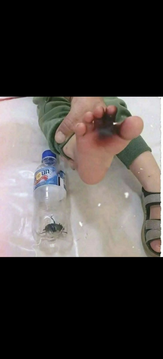 Abdullah Matar tweet media