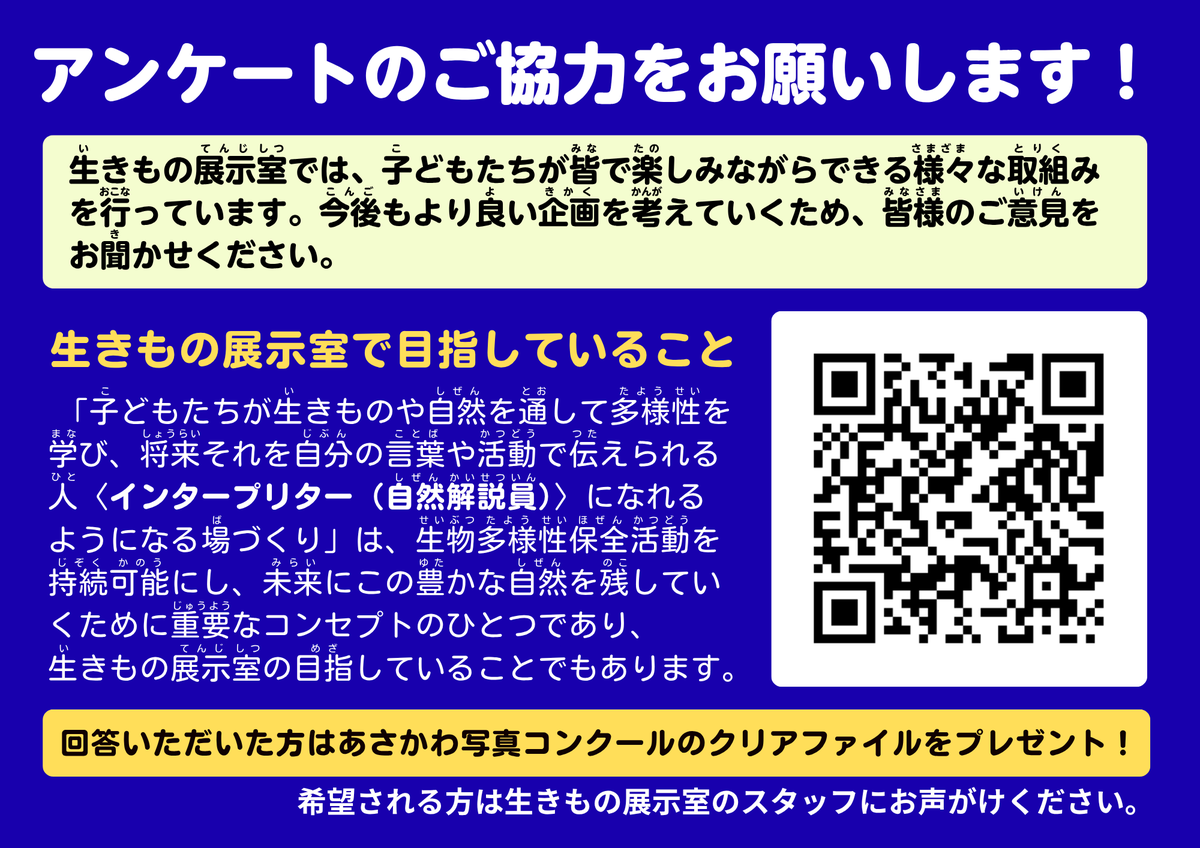 ikimonoroom's tweet photo. 【アンケートのお願い】

「インタープリター（自然観察員）」になれる場を作るために、今後も子どもたちが学べる様々なイベントを行います。
ぜひ皆様のやりたいことや、興味のあることをお聞かせください！

画像の二次元コードかリンクから！
https://t.co/ukrVIj2CW9

#生きもの展示室 #八王子 https://t.co/JRpyOaEXRf