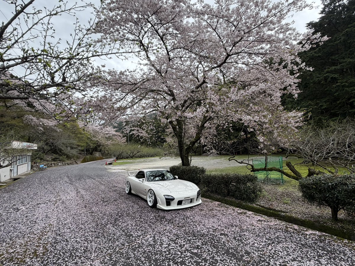 もりした tweet media