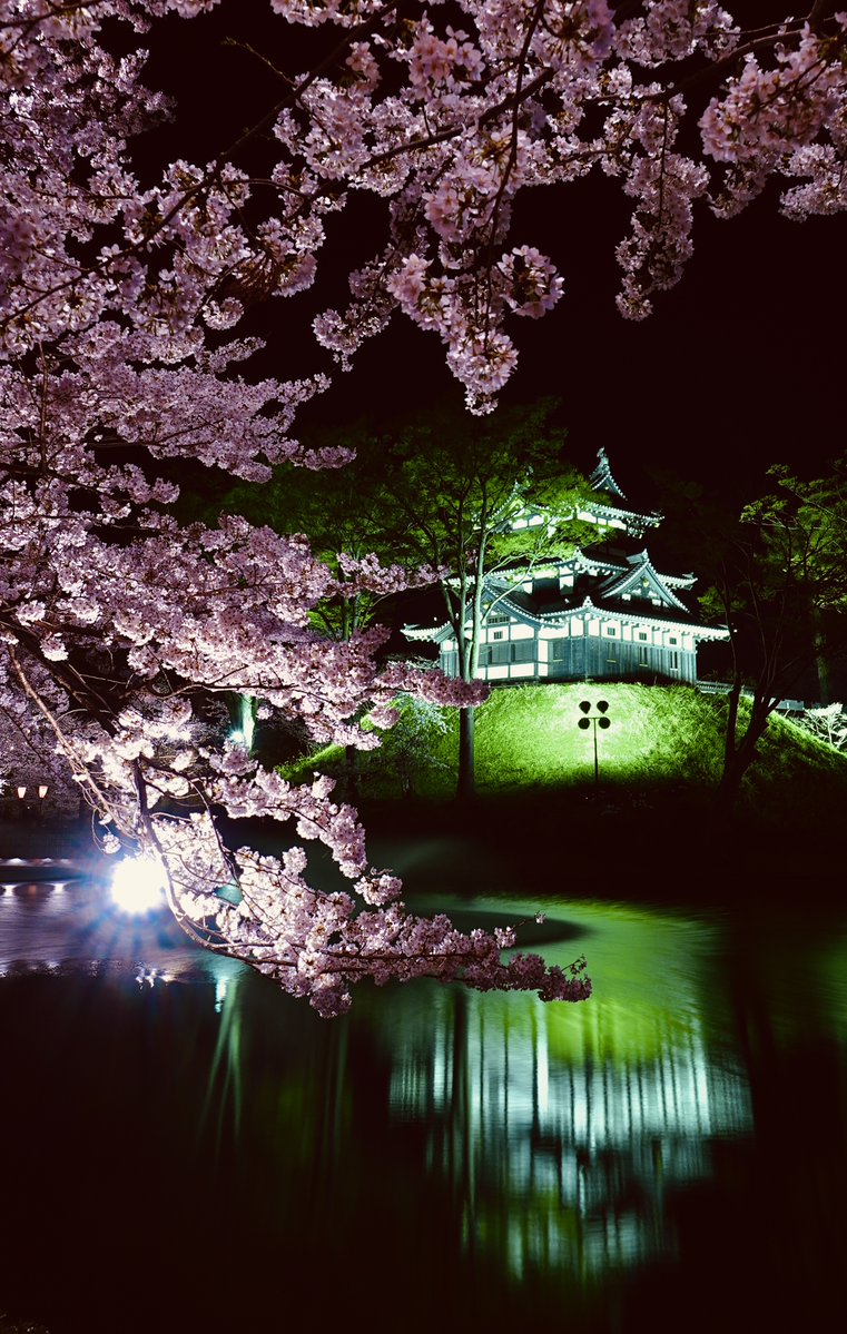 モモンガ🍑 tweet media