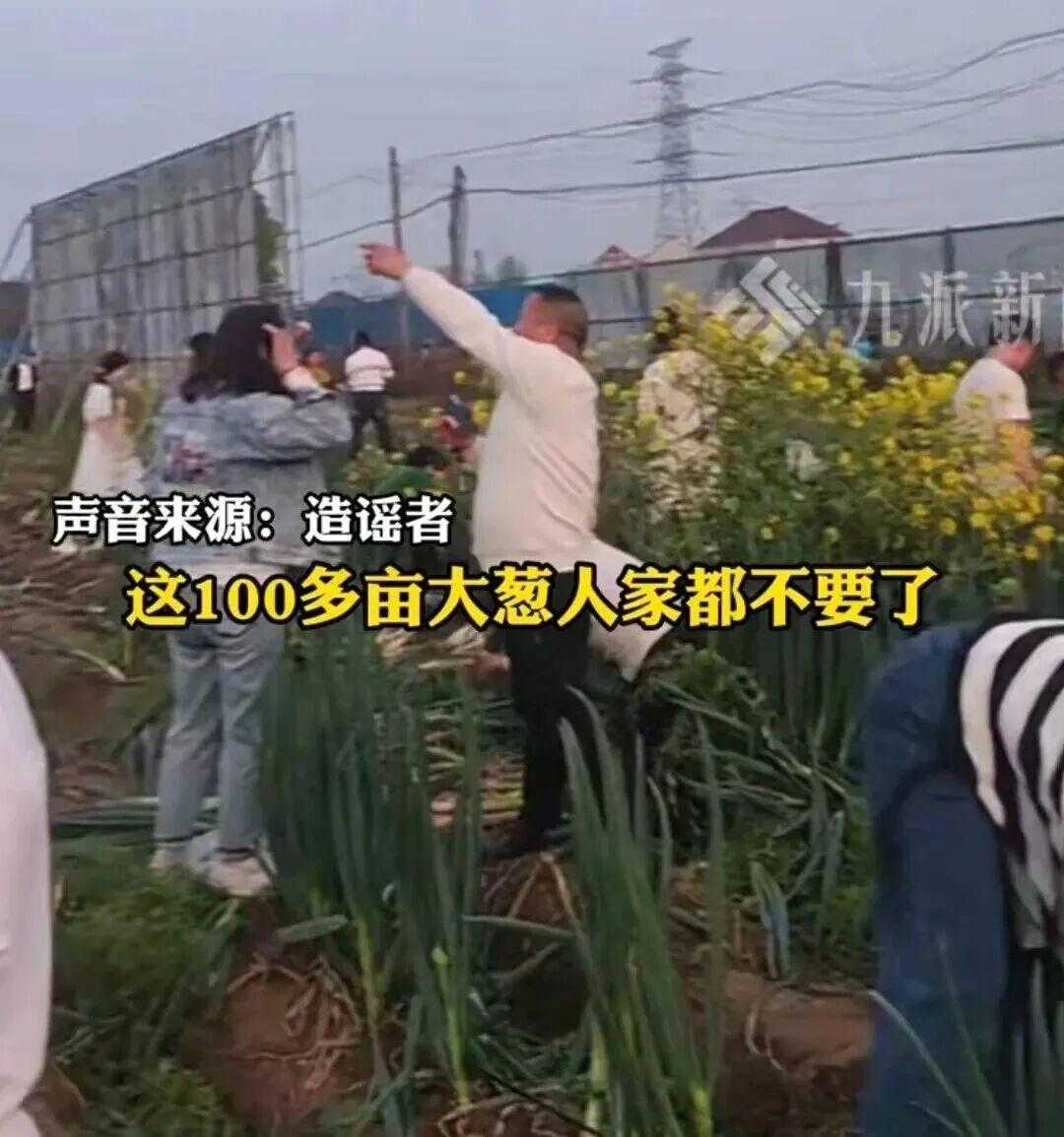 魔都老猿 tweet media