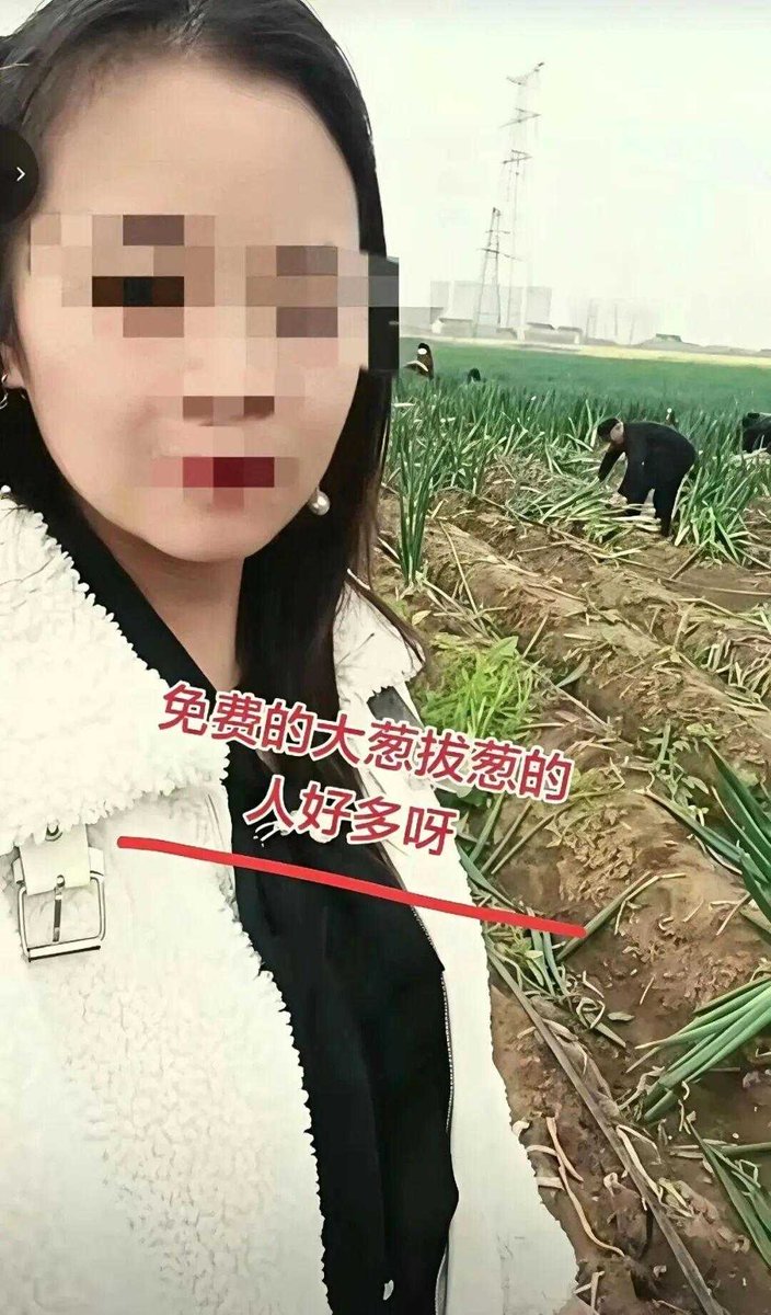 魔都老猿 tweet media