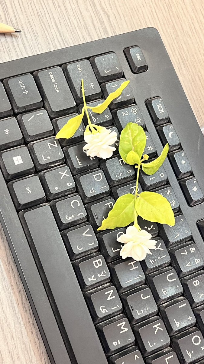 بنت الظبي🦌تربوية tweet media