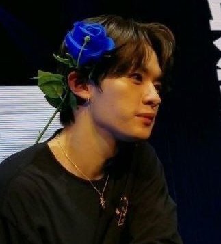 mont ʚଓ tweet media