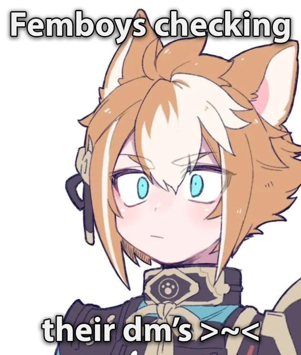 💕 Songbae 💕 (Femboy Catboy VTuber) tweet media