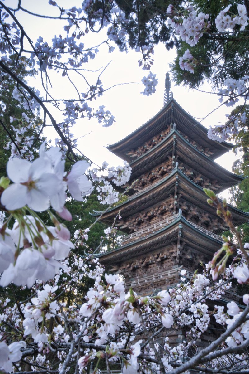 龍王尊 善宝寺【公式】 tweet media