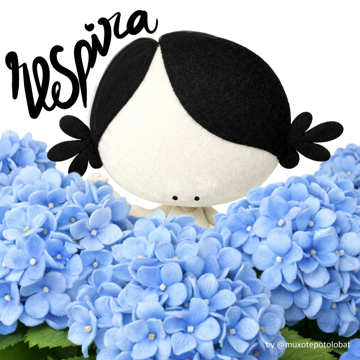 Muxote Potolo Bat tweet media