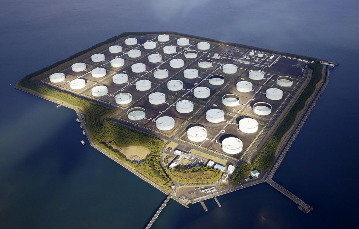 Jackson Hinkle 🇺🇸 tweet media