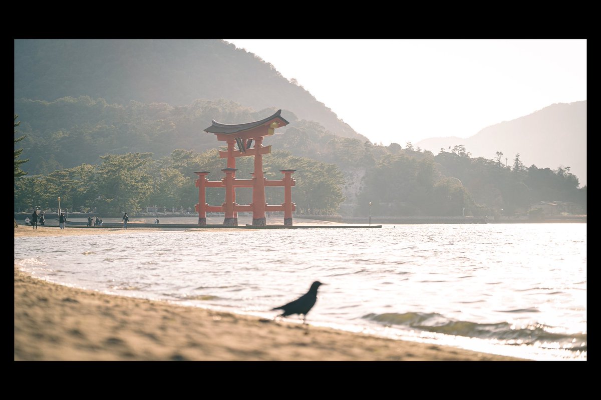 いもけんぴ tweet media