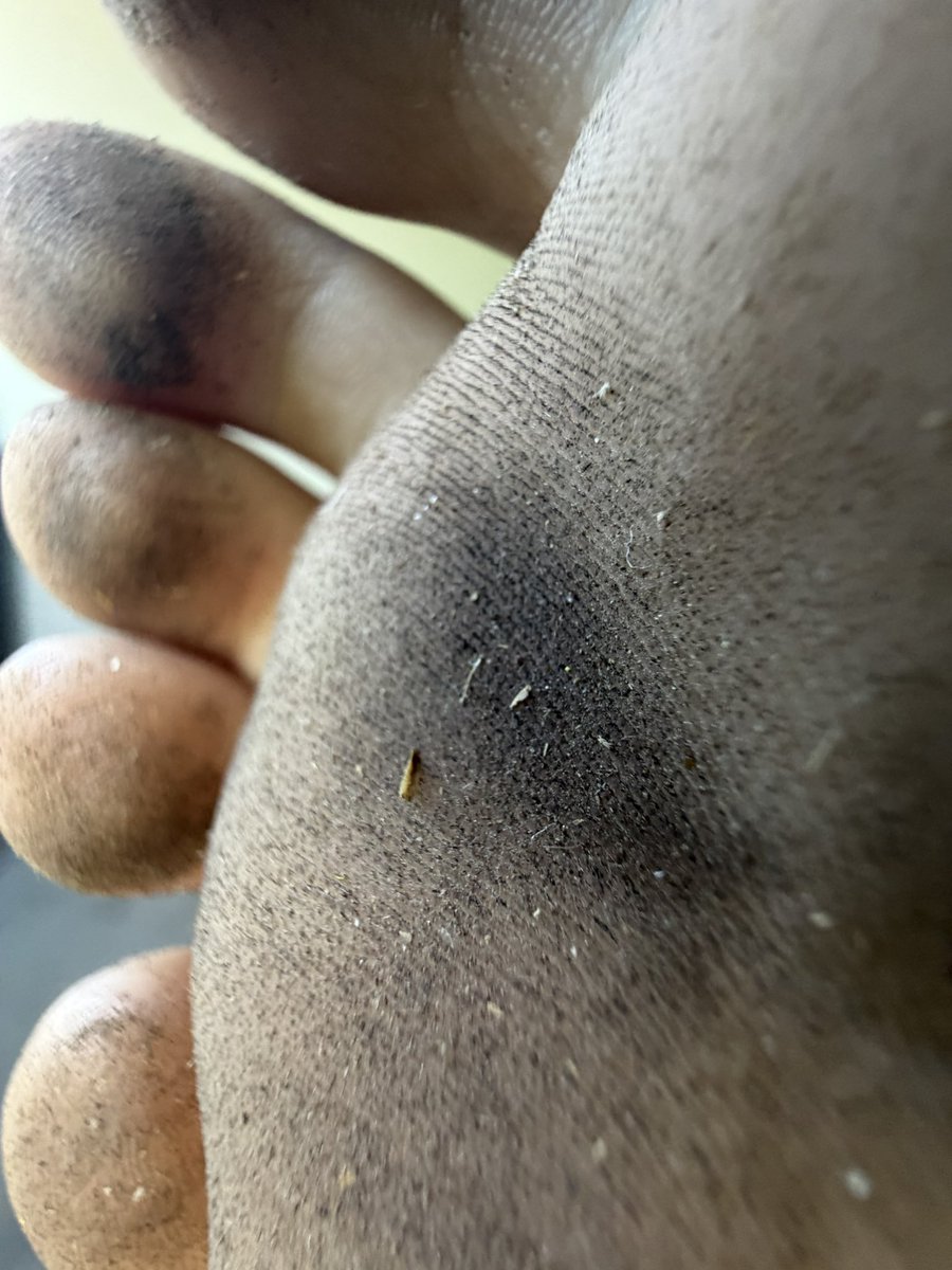 Goddess Willow 🇦🇺🐭🪤 ΘΔ Comms 2/3 Available tweet media