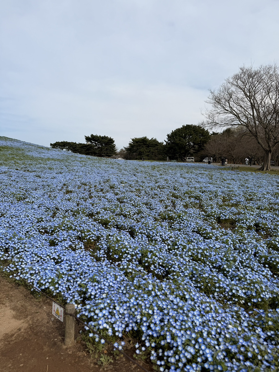 T_QUEST tweet picture